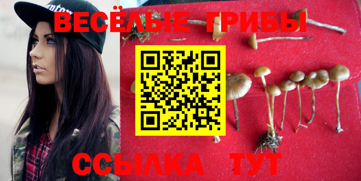 Галлюциногенные грибы ЛСД  Вход с VPN  Ликино-Дулёво 